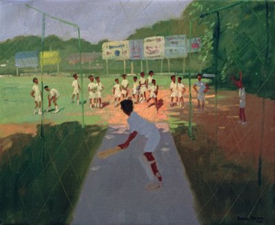 Cricket, Sri Lanka von Andrew Macara